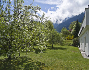 Hause - Spring in the garden.